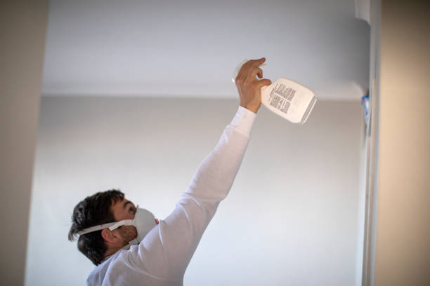 Best Professional Mold Removal  in Nashvle, IL