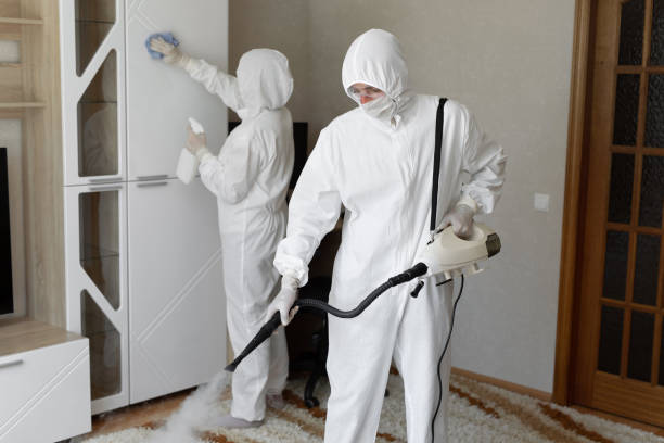 Trusted Nashville, IL Mold Removal Experts