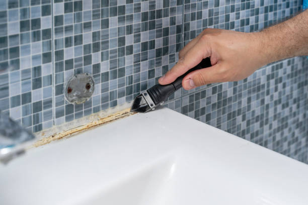 Best Home Mold Removal  in Nashvle, IL